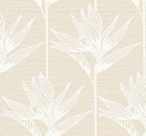 Bird Of Paradise White Wallpaper