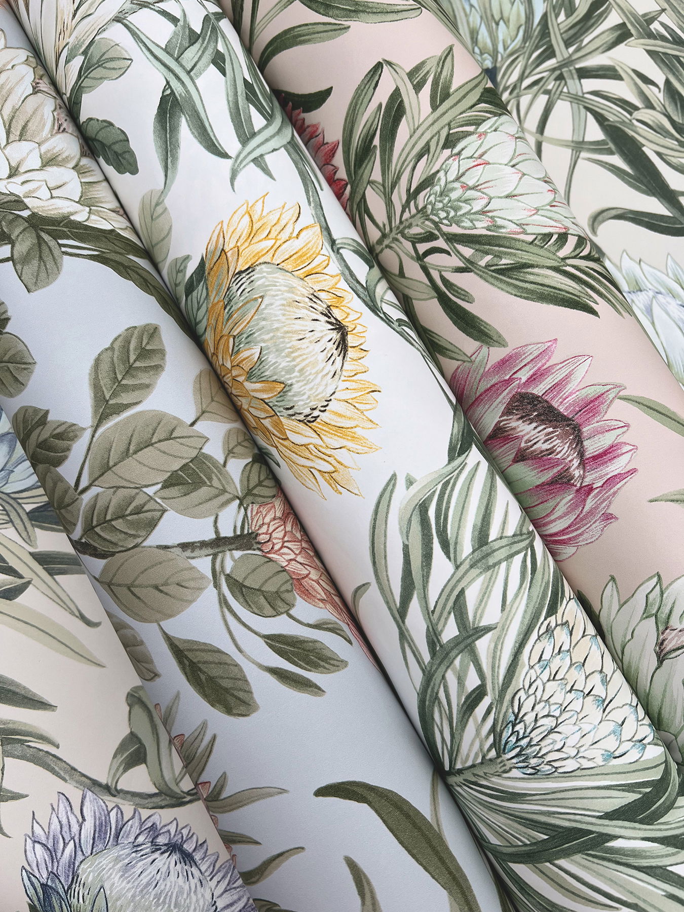 Protea Cream & Blue Wallpaper large image 