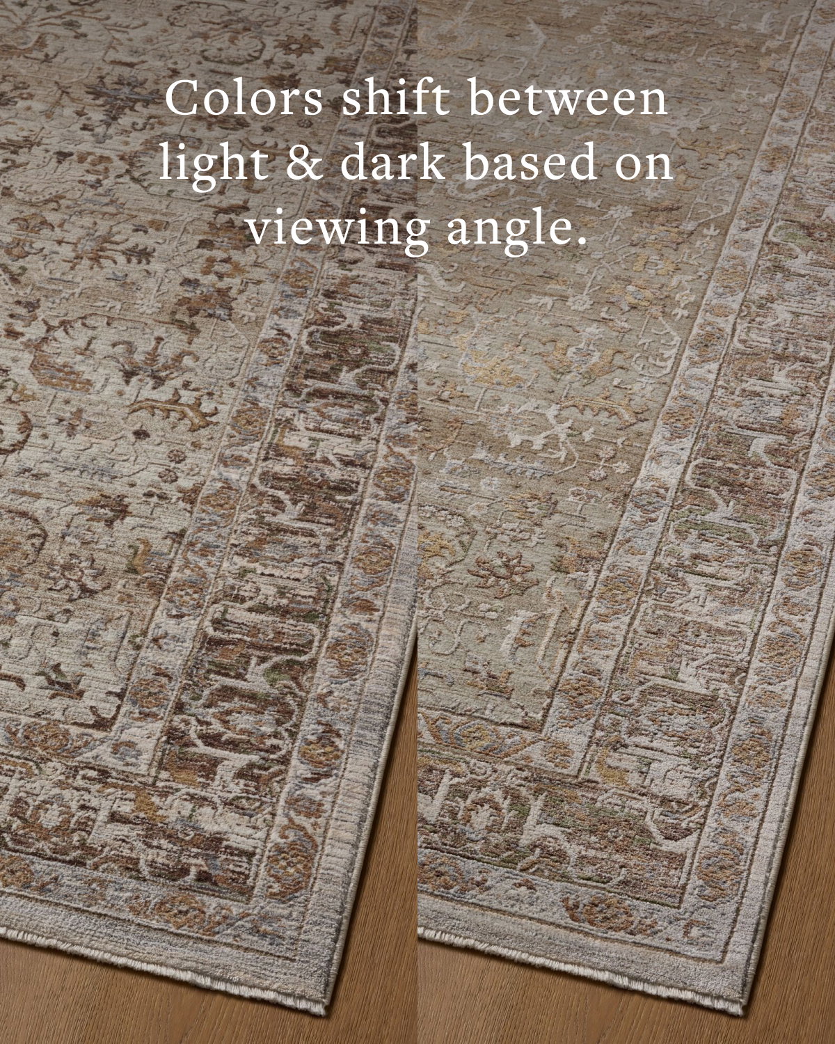 Loloi Aylin Rug, 1'6" length x 1'6" width View 5