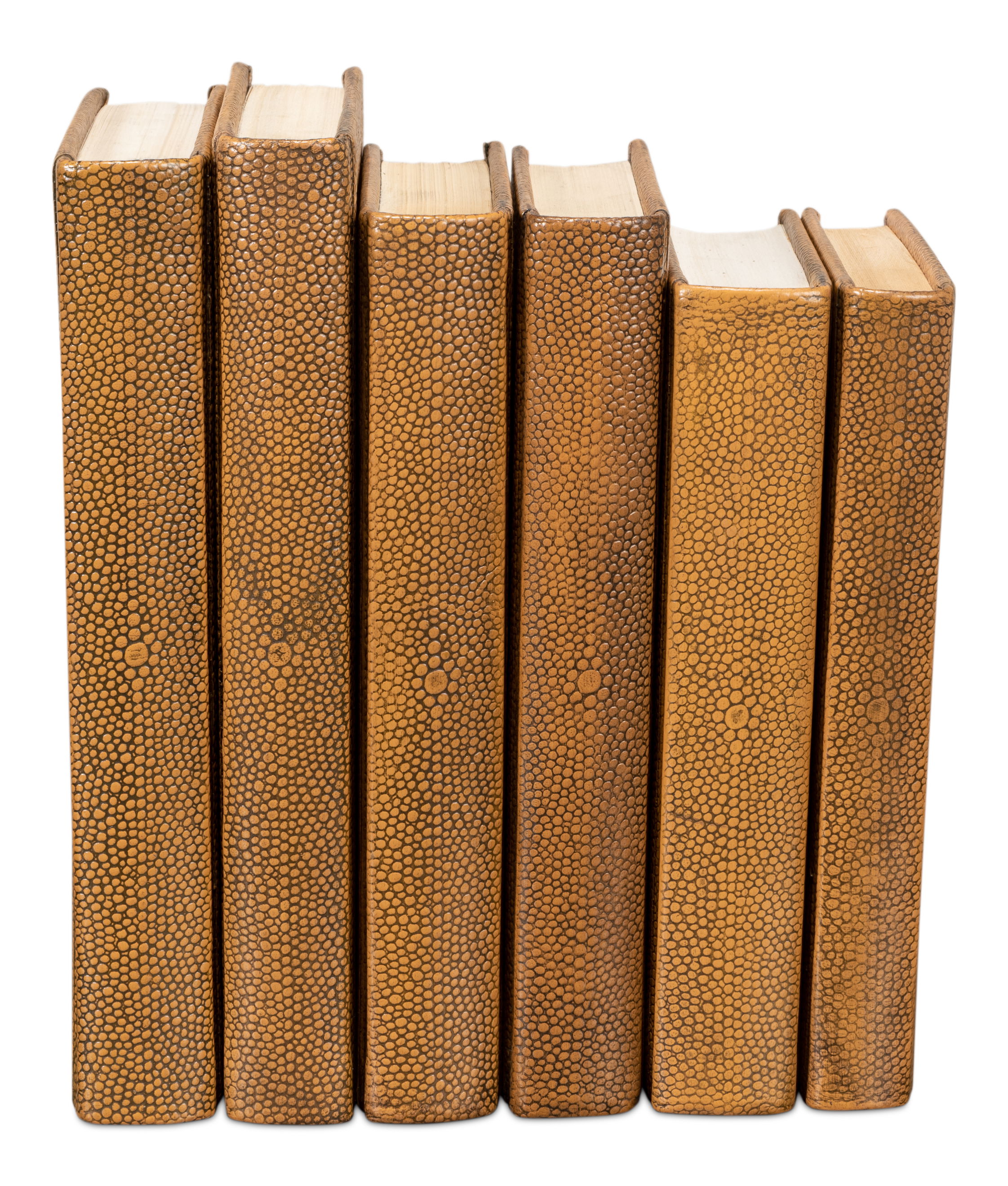 Shagreen Books  Set Of 12  Tawny Brown large image 