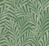 Tea Leaves Stripe Green Wallpaper thumbnail 0