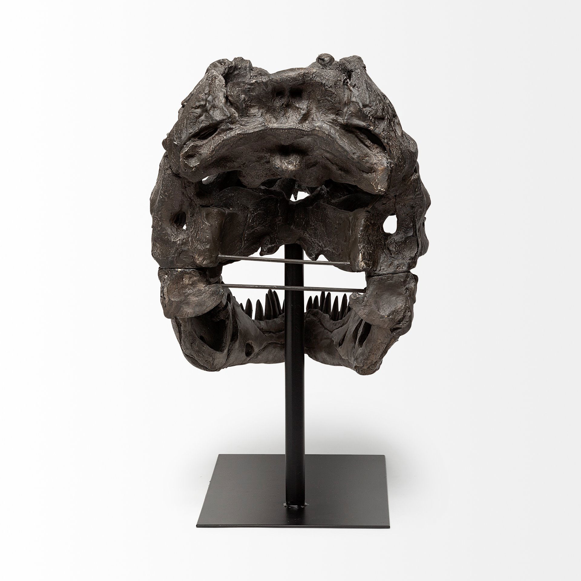 Lagrane 19L x 11W Brown Resin Tyrannosaurus T Rex Dinosaur Skull Replica large image 