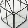 Sikes (Small) 6L x 6W x 10H Glass Terrarium, Boxe by Mercana, 6.1" length x 6.1" width x 10.04" height thumbnail 9