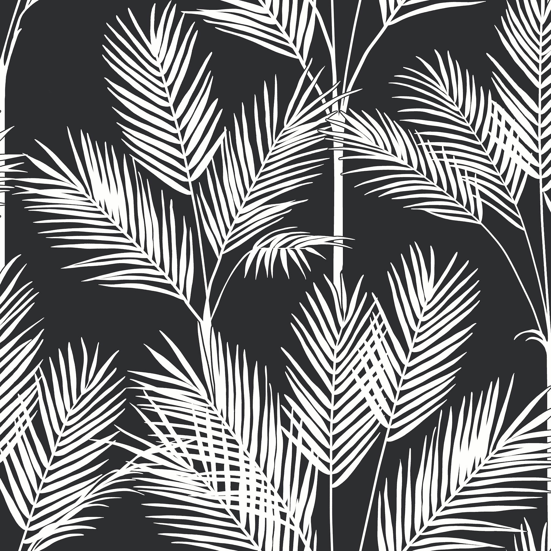 King Palm Silhouette Blue Wallpaper large image 