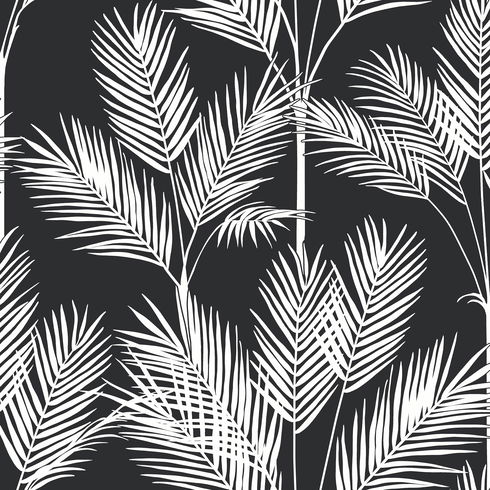 King Palm Silhouette Blue Wallpaper
