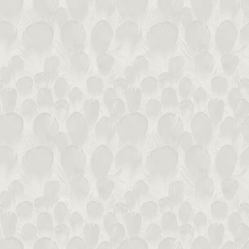 Feathers White Wallpaper