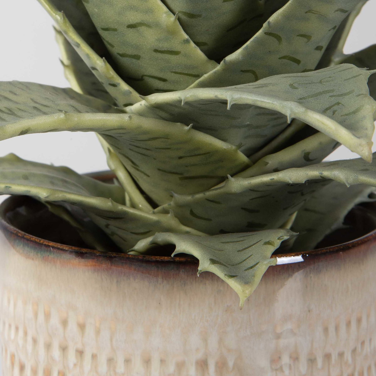 Seaside Succulents Set/2, Artificial Plants & Flower by Uttermost, 9" width x 12" height x 7" depth View 4