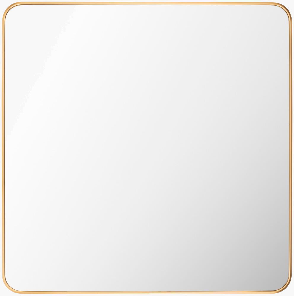 Aranya Accent Mirror large image 