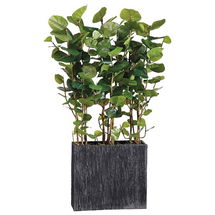 Online Designer Combined Living/Dining Faux Potted Sea Grape Tree, 6.5', Green