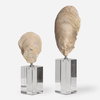 Oyster Shell Sculptures Set/2, Figurines & Statue by Uttermost, 5.25" width x 15.25" height x 3.12" depth thumbnail 1