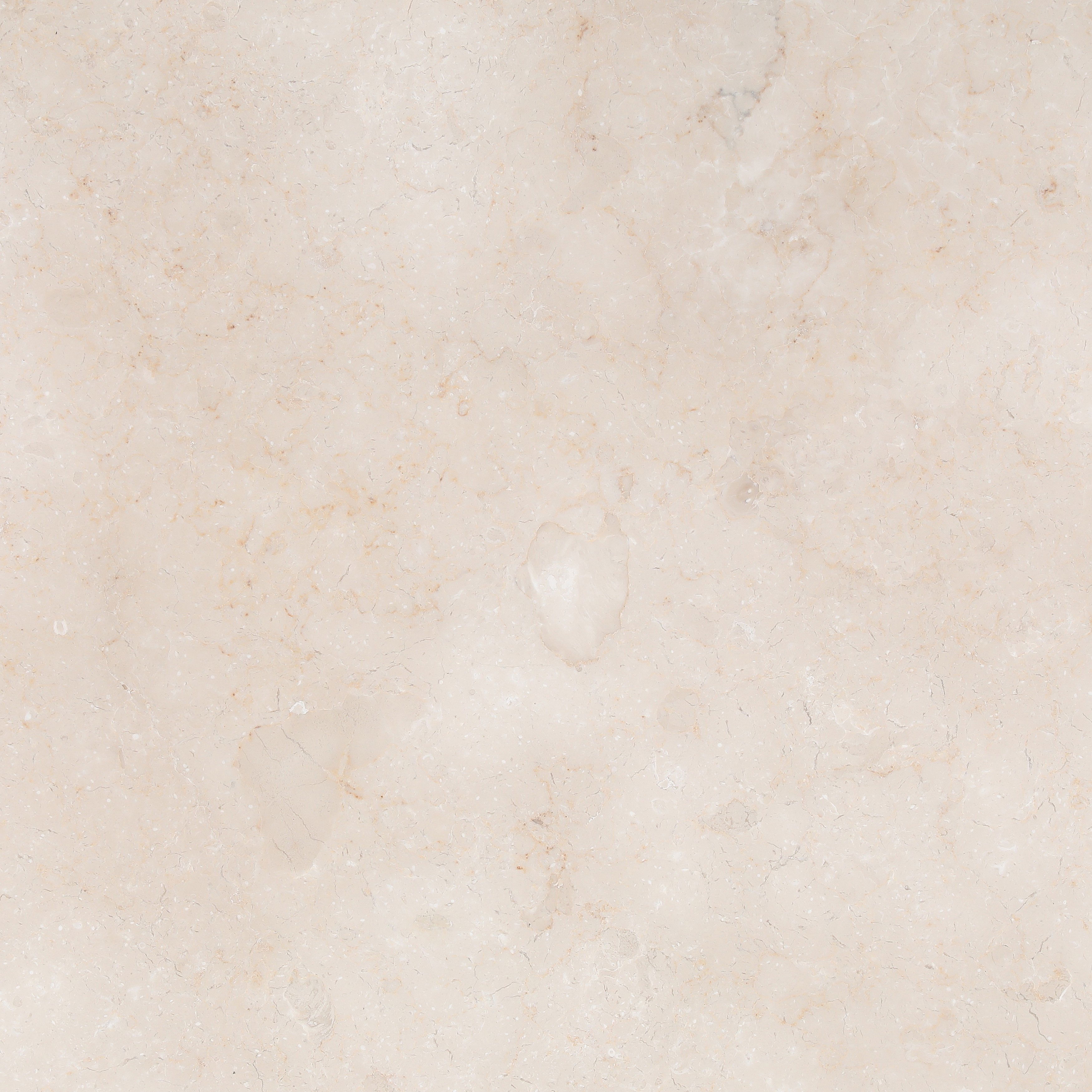 Canyon Coffee Table Natural, by Dovetail, 48" width x 16" height x 48" diameter x 48" depth View 2