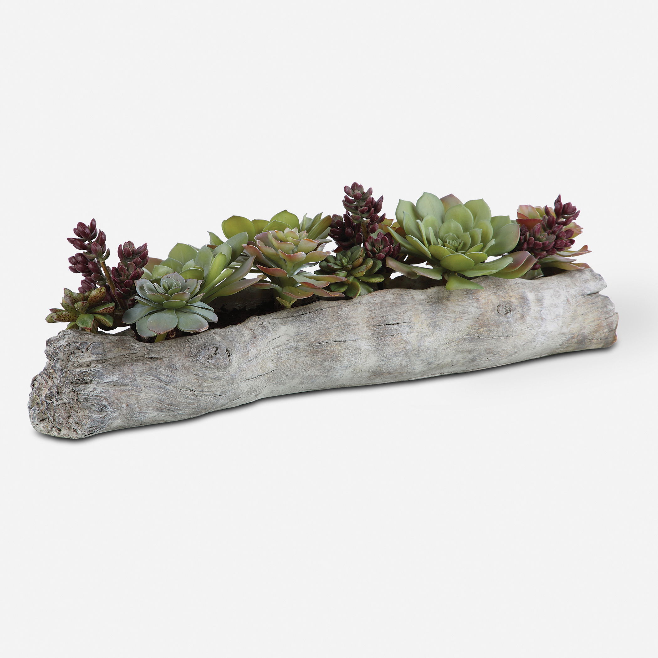 Charita Lush Succulents large image 