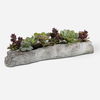 Charita Lush Succulents thumbnail 0