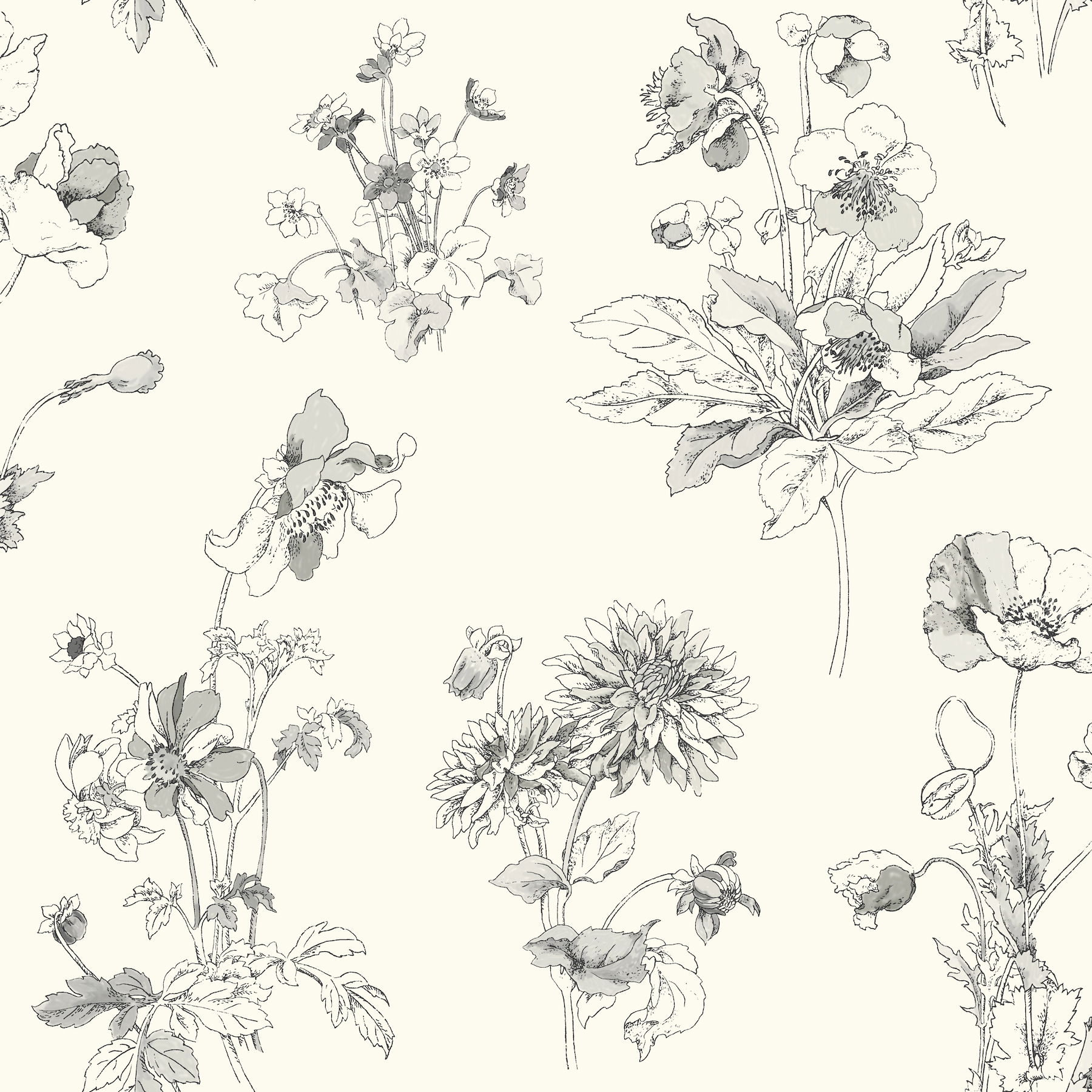 Grey Meadow in Bloom Wallpaper large image 