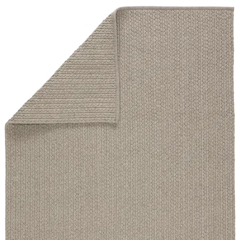 Iver Indoor/ Outdoor Solid Light Gray Area Rug