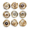 Corkscrew Wood Wall Decor Set/9, by Uttermost, 1'1.7" width x 1'1.7" height x 4.7" depth thumbnail 5