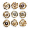 Corkscrew Wood Wall Decor Set/9 thumbnail 4