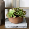 Sable Succulent Accent In Pot, Artificial Plants & Flower by Uttermost, 13.25" width x 8.5" height x 13.25" depth thumbnail 3