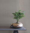 Rugged Linen Shale Wallpaper thumbnail 1