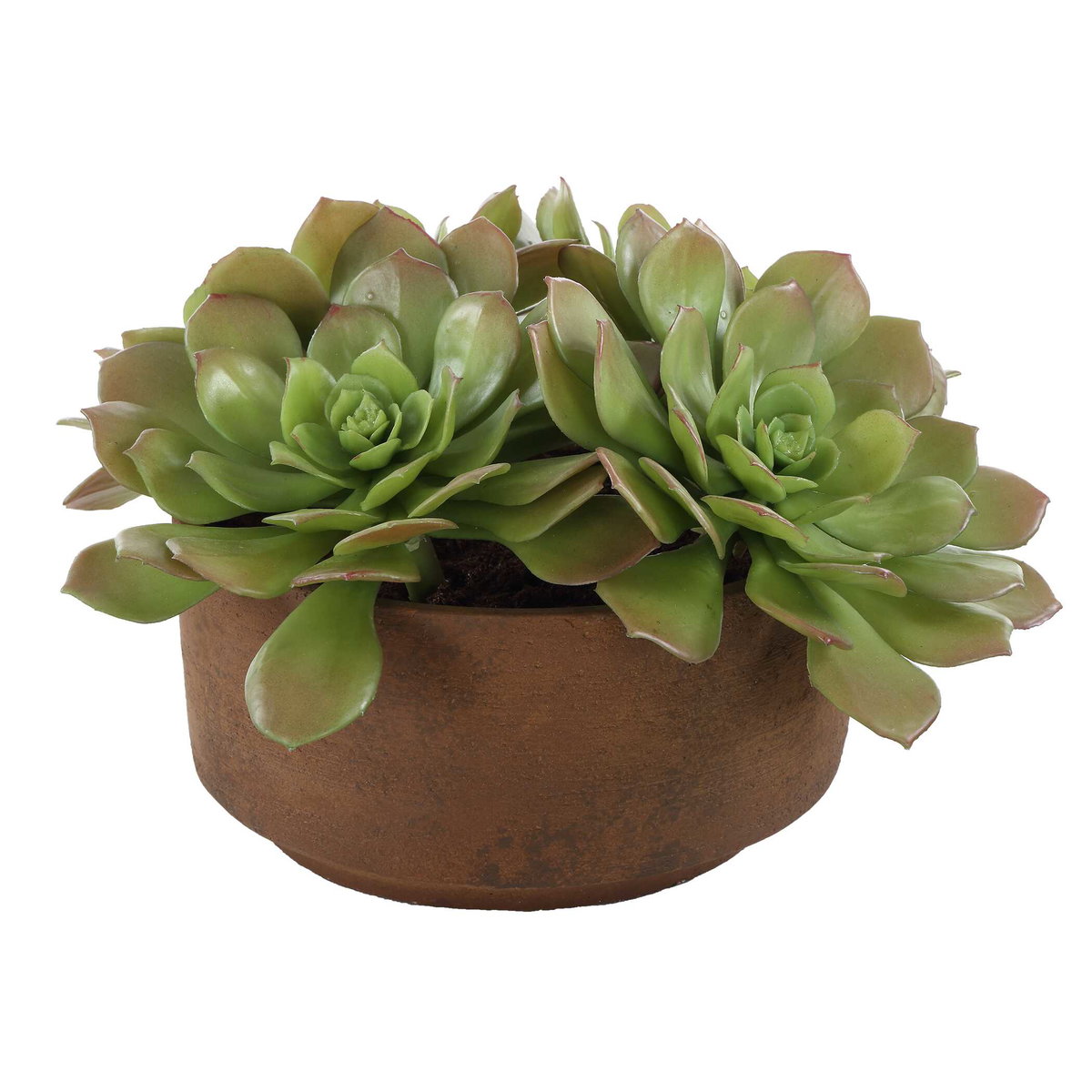 Sable Succulent Accent In Pot, Artificial Plants & Flower by Uttermost, 13.25" width x 8.5" height x 13.25" depth View 4