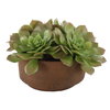 Sable Succulent Accent In Pot, Artificial Plants & Flower by Uttermost, 13.25" width x 8.5" height x 13.25" depth thumbnail 4