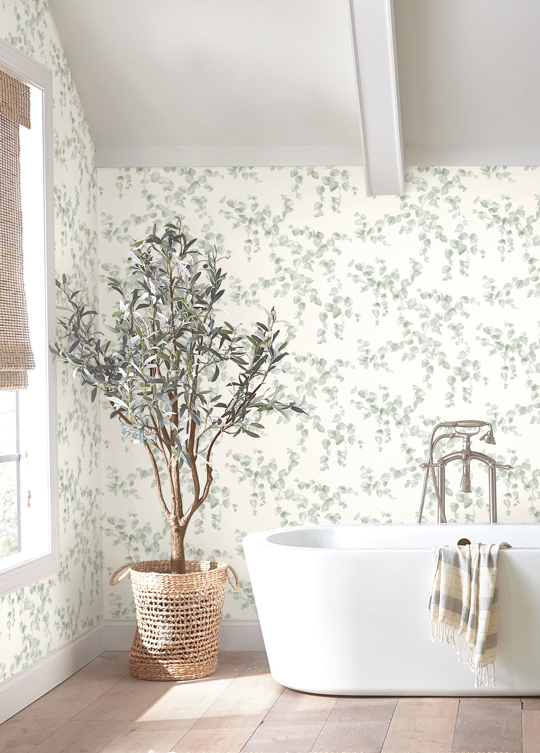 Creeping Fig Vine Sage Wallpaper large image 