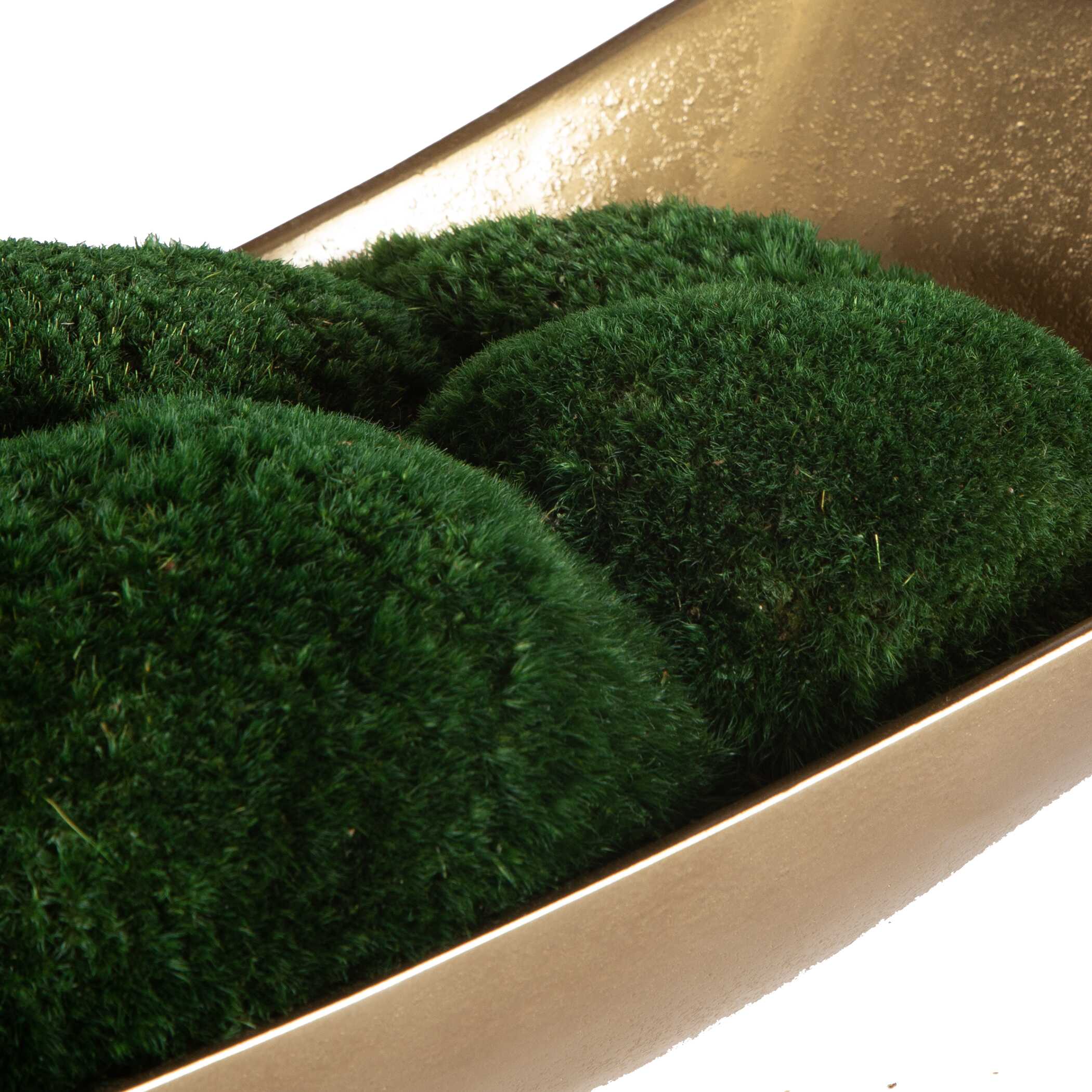 Venice Moss Centerpiece large image 