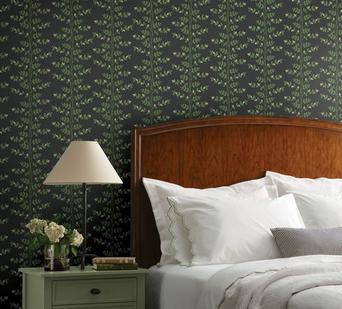 Climbing Vine Black Wallpaper