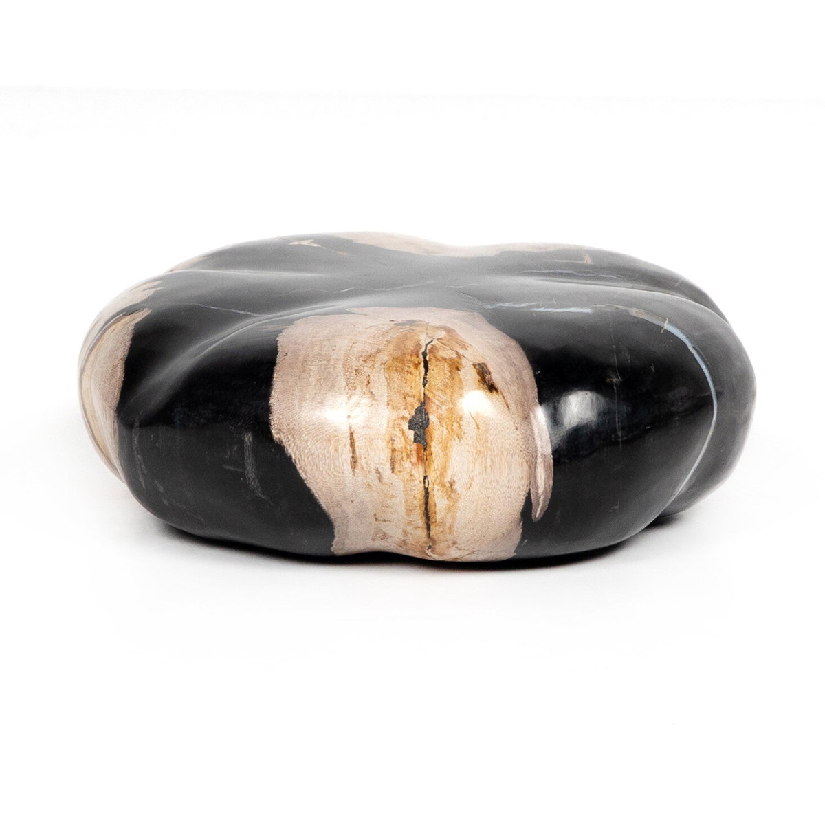 Petrified Wood Organic Sculpture, Set Of 3, Decorative Object by Four Hands, 9.75" width x 8.75" height x 9.75" depth View 7