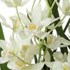 Ariana Orchid Planter, Artificial Plants & Flower by Uttermost, 16.75" width x 24.37" height x 15.5" depth thumbnail 5
