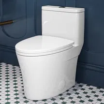 Online Designer Bathroom HR-T0307W Elongated One-Piece Toilet, Compact Toilet with Soft-Close Seat, 1.1/1.6 GPF Powerful Dual-Flush Toilet for Bathroom
