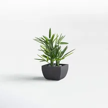 Online Designer Bedroom Millsaps Artificial Bamboo Plant in Pot