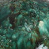 Ceralene Green Table Lamp thumbnail 6