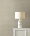 Maguey Sisal Silver Wallpaper thumbnail 1