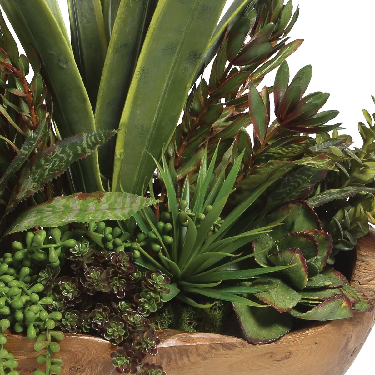 Salar Succulents In Teak Bowl, Artificial Plants & Flower by Uttermost, 22" width x 20" height x 12" depth View 4