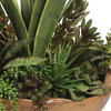 Salar Succulents In Teak Bowl, Artificial Plants & Flower by Uttermost, 22" width x 20" height x 12" depth thumbnail 4