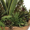 Salar Succulents In Teak Bowl, Decorative by Uttermost, 22" width x 20" height x 12" depth thumbnail 4