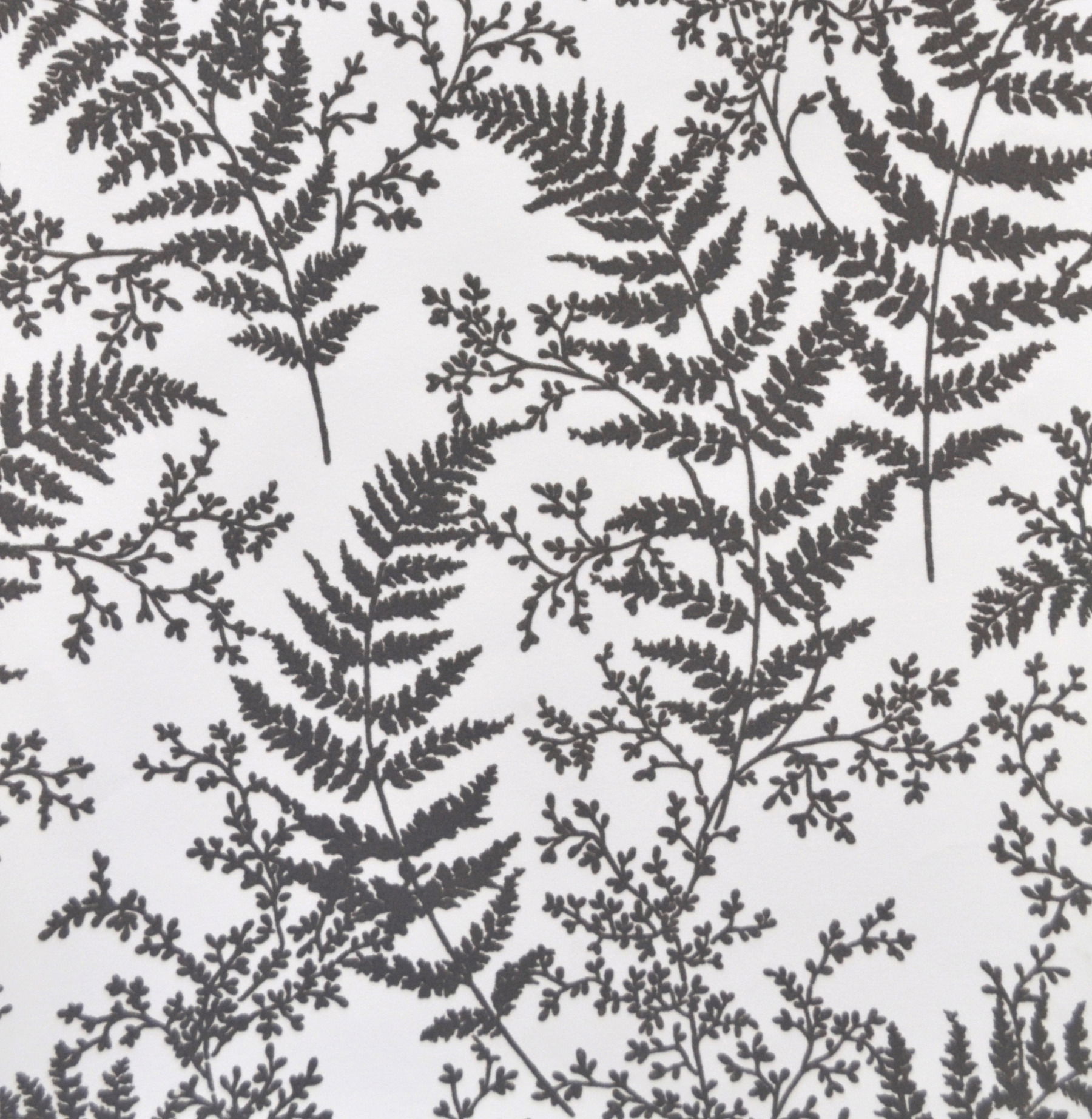 Forest Fern Flock Grey Wallpaper large image 