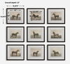 Equine Dynasty Framed Prints, S/9 thumbnail 2