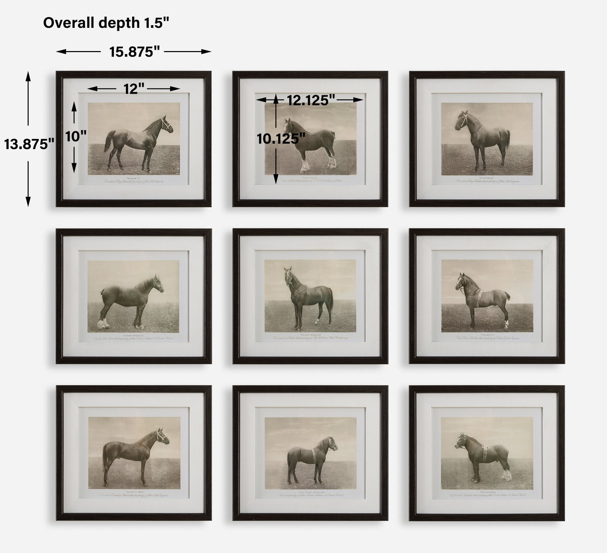 Equine Dynasty Framed Prints Set/9, Art by Uttermost, 15.87" width x 13.87" height x 1.5" depth View 3