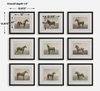 Equine Dynasty Framed Prints Set/9, Art by Uttermost, 15.87" width x 13.87" height x 1.5" depth thumbnail 3