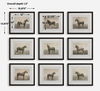 Equine Dynasty Framed Prints Set/9 2 Equine Dynasty Framed Prints Set/9 thumbnail 2