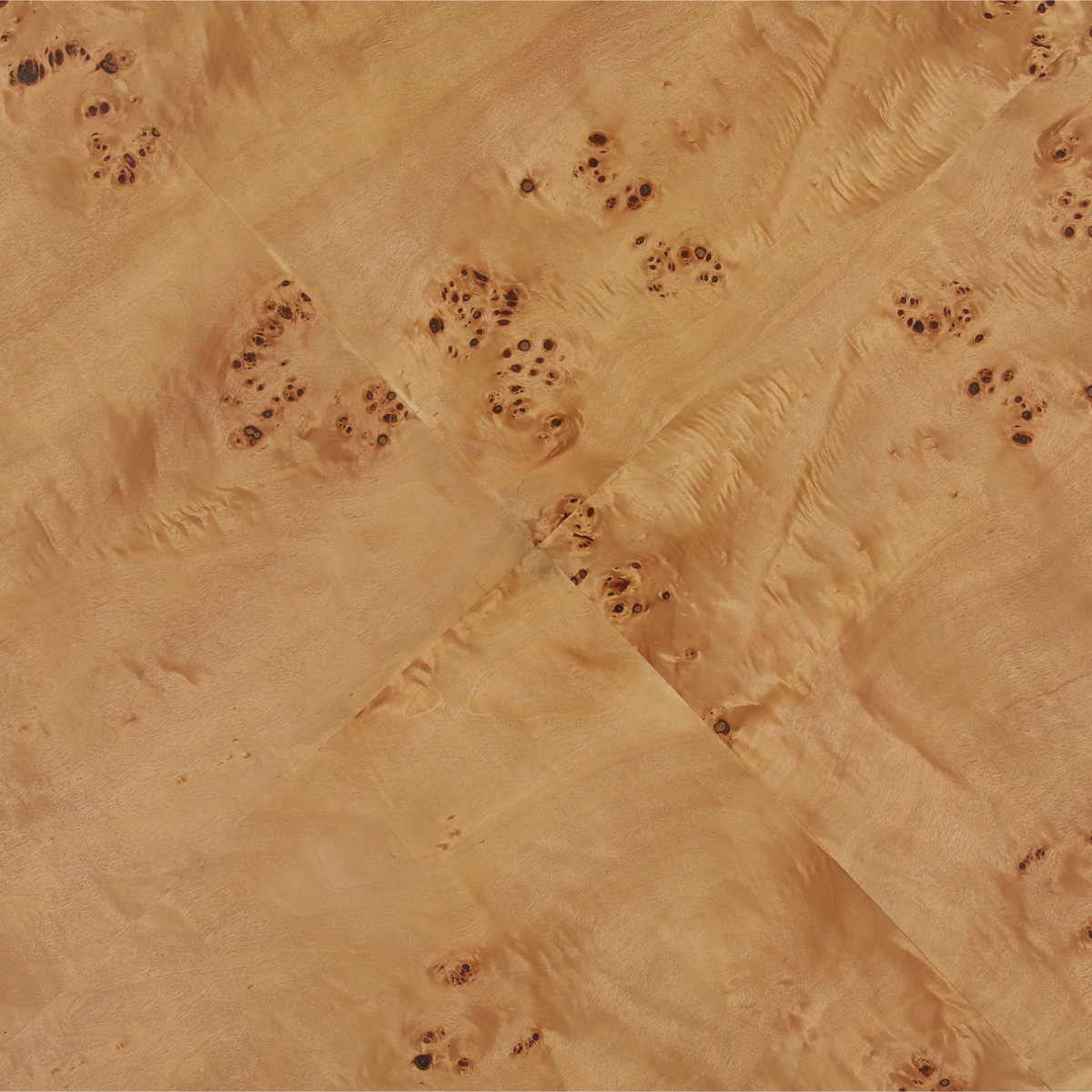 Paulette Coffee Table Burl, by Dovetail, 39" width x 15.25" height x 39" depth View 3