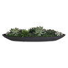 Verde Succulent Centerpiece In Bowl, Artificial Plants & Flower by Uttermost, 29" width x 6" height x 8" depth thumbnail 1