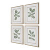 Fiddle Head Leaf Botanical Prints Set/4, Art by Uttermost, 28" width x 34" height x 2.12" depth thumbnail 5