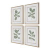 Fiddle Head Leaf Botanical Prints Set/4 thumbnail 4