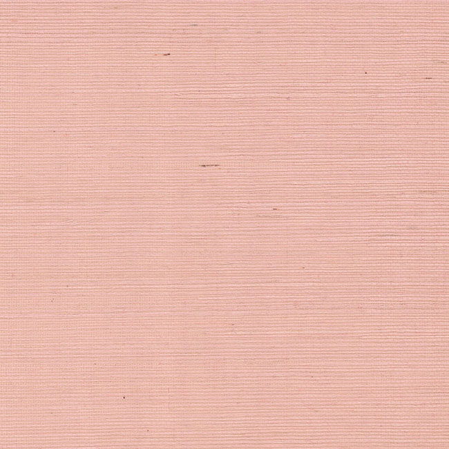 Maguey Sisal Petal Wallpaper large image 