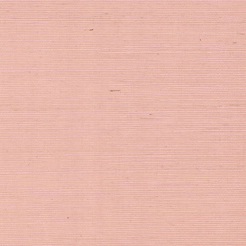 Maguey Sisal Petal Wallpaper