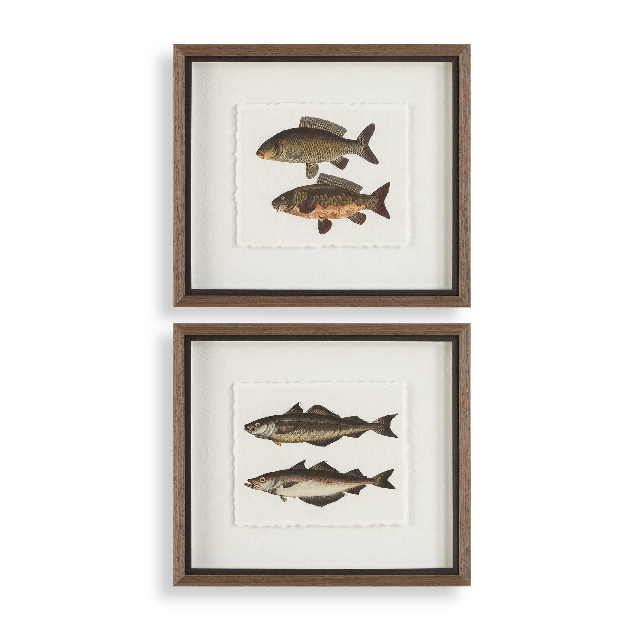 The Catch Framed Fish Prints Set/2, Painting by Uttermost, 20.5" width x 18.25" height x 1.75" depth View 1