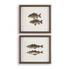 The Catch Framed Fish Prints Set/2, Painting by Uttermost, 20.5" width x 18.25" height x 1.75" depth thumbnail 1